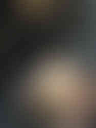 Embroidered Chair of Jangalname by VeeCollect during Alcova Milan Design Week 2025