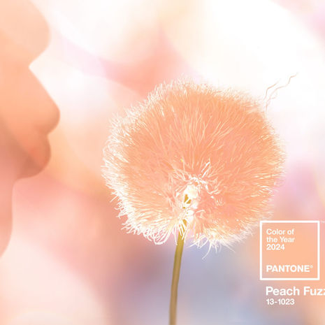 ❒ Pantone Yılın Rengi 'Şeftali Tüyü' Seçti! Peach Fuzz 13-1023 ✨