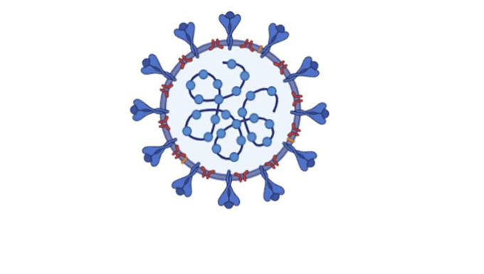 Как РНК вирусите използват механизмите на клетката гостоприемник в своя полза?