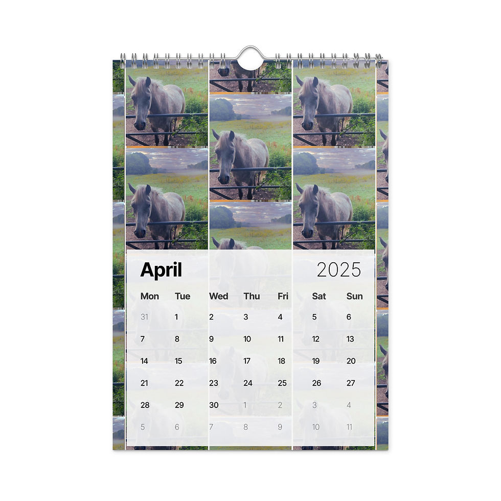 Thumbnail: Captured by Ch'Lu Wall Calendar (2025) - £22/28