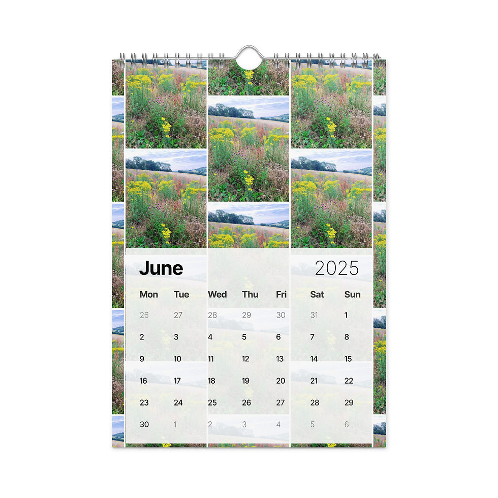 Thumbnail: Captured by Ch'Lu Wall Calendar (2025) - £22/28