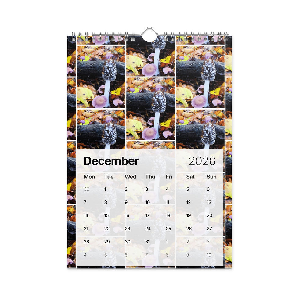 Thumbnail: "Captured by Ch'Lu" Wall Calendar (2026) - £22/28