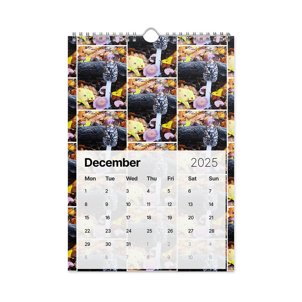 Thumbnail: Captured by Ch'Lu Wall Calendar (2025) - £22/28