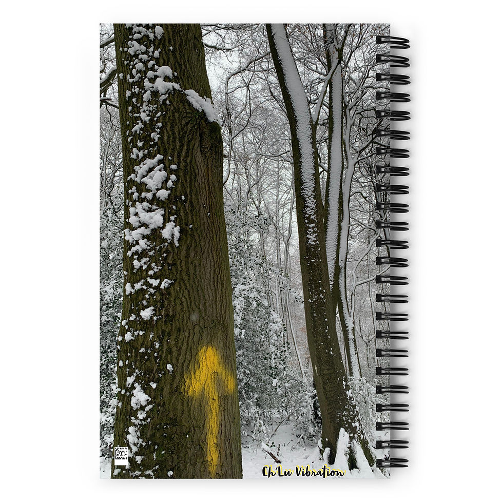 Thumbnail: Captured by Ch'Lu "The Only Way is Up" Spiral Notebook