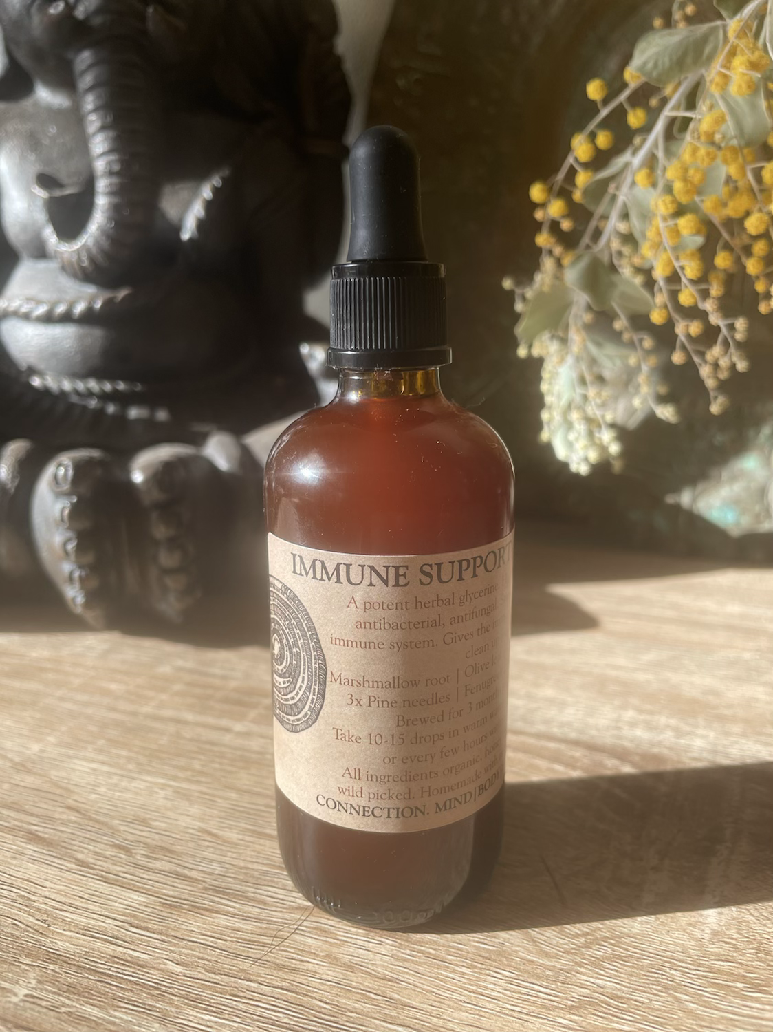 Immunity Support | Drops