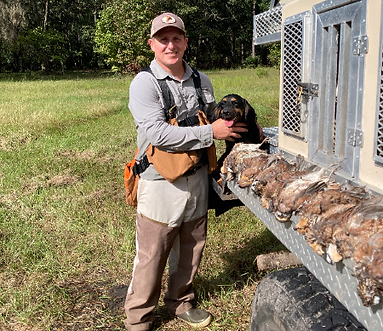 duck hunting dog training