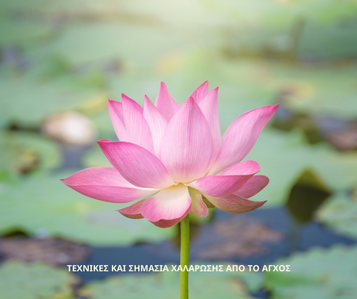 Συνεδρία ψυχολόγου με τεχνικές χαλάρωσης για βελτίωση της ψυχικής υγείας και μείωση στρες