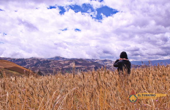 Walter Caminata 1.jpg