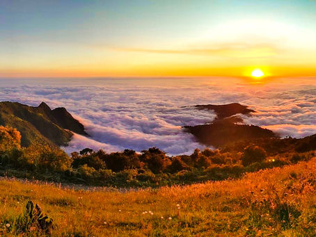 Newsletter: ¿Making the Most of Your Summer?