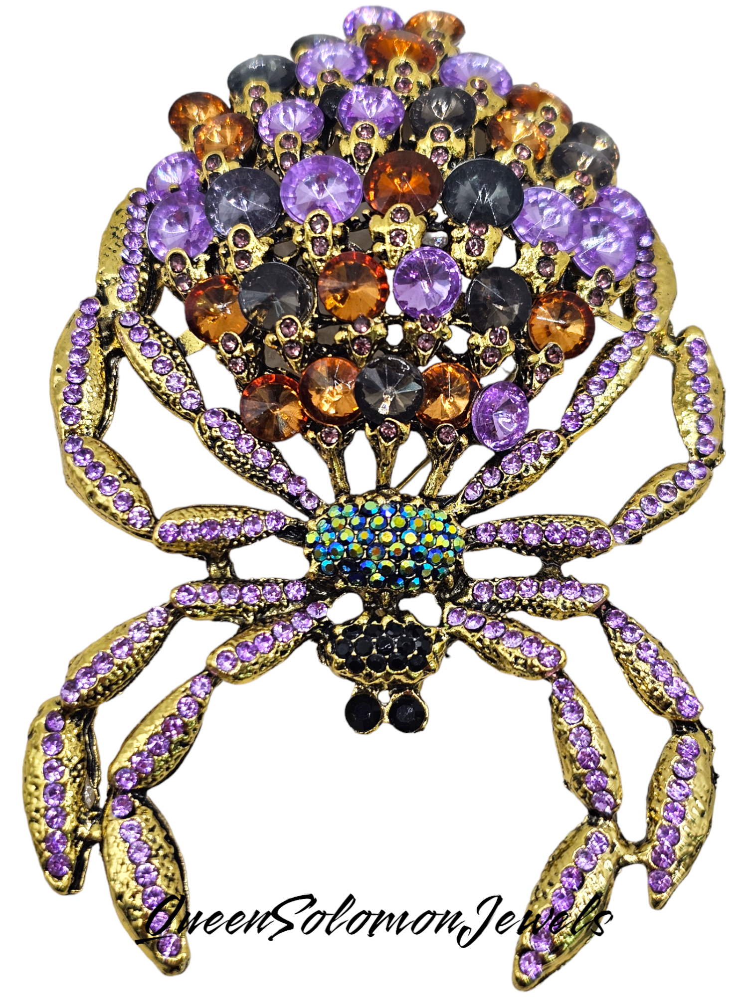 Spanking Spider Brooche