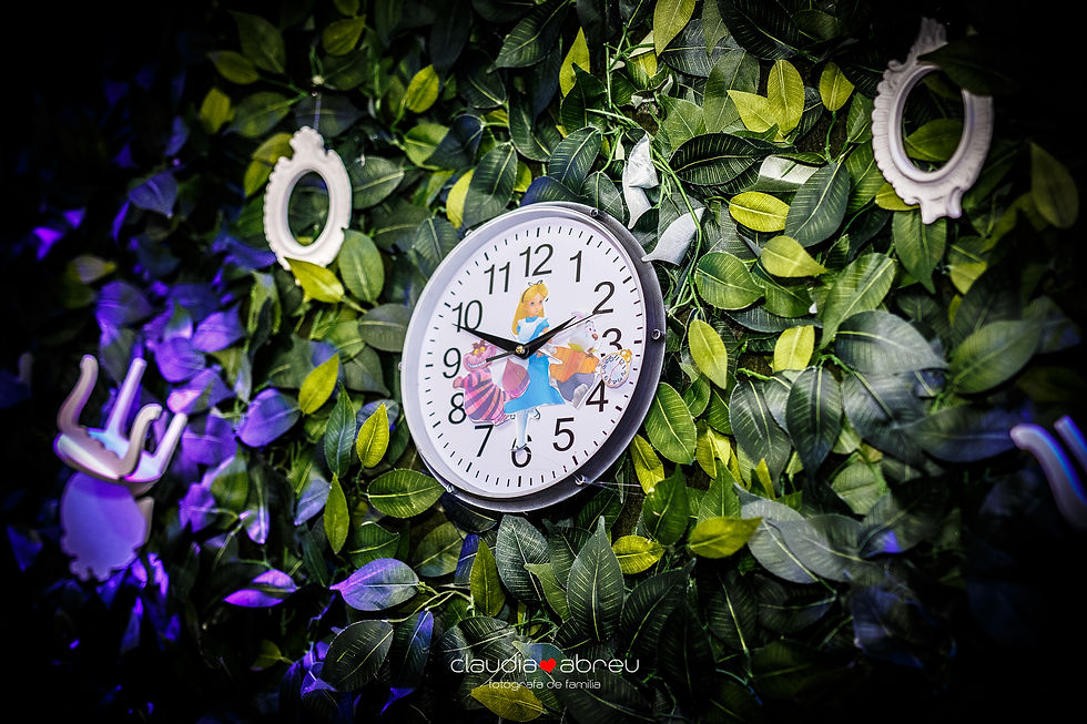 aniversario 1 ano alice petropolis-9.jpg