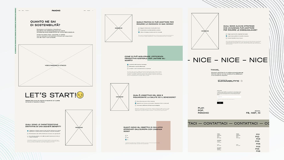 Progetto Panchic inglese (1).jpg
