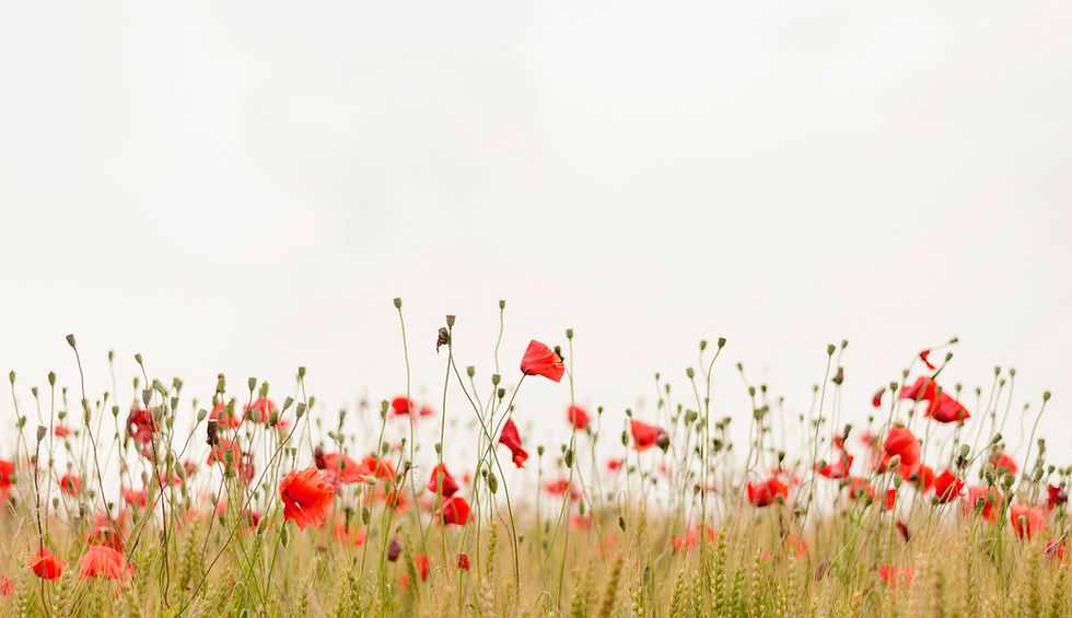 AEnB2UpSqVhaWQ4Umgb39KSPhpIAJc9DtOm3PrUKQ8qAPf9L1KRxP4Gwsnq6GcTGhOkeAKHeTQeWUEY29WwtjnpKJ7