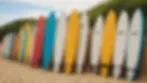 Eye-level view of surfboards lined up on a sandy beach
