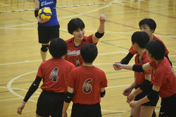 sosayoung26