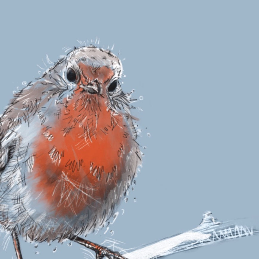 Robin greetings card detail