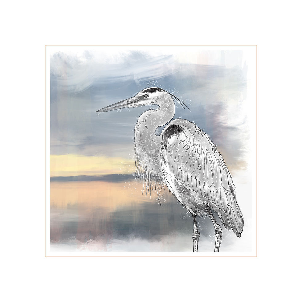 Illustrated heron print