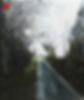 January Lane SOLD