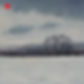 Winter Copse 2