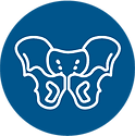 BTL_Emsella_ICON_Pelvic_ENUS100.png