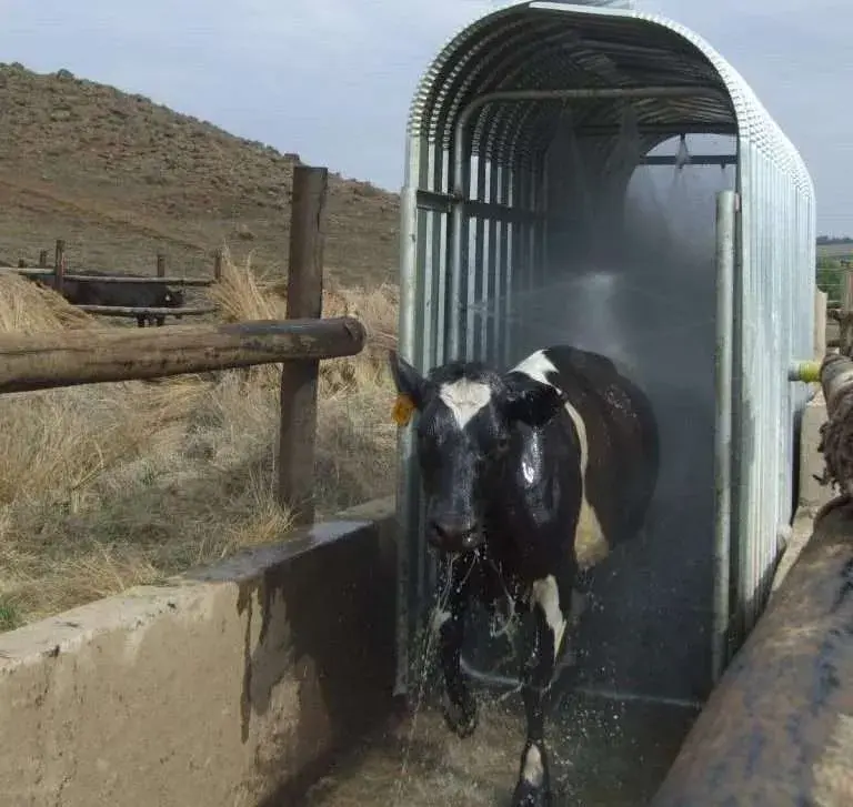 Tal-Tec Cattle Spray Race