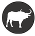 buffalo.png