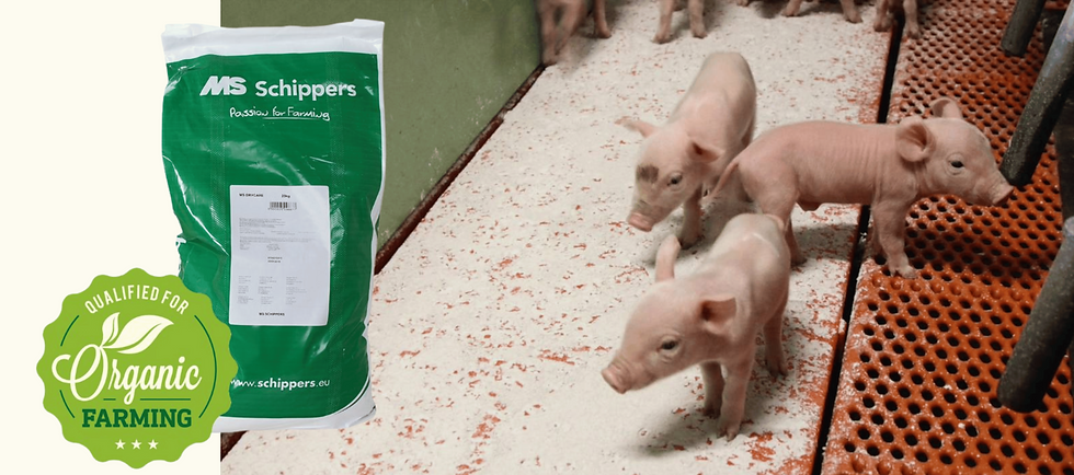 MS Schippers Dry Care