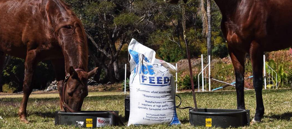 Equine Range by Icefeed