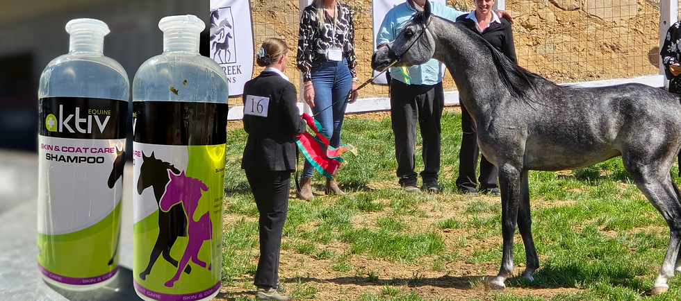 Aktiv Equine Shampoo
