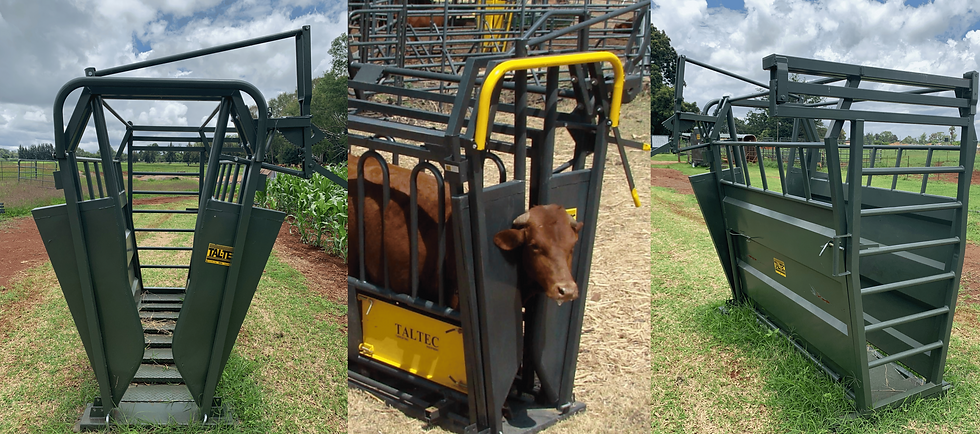 Cattle Neck Clamp and Working Crate
