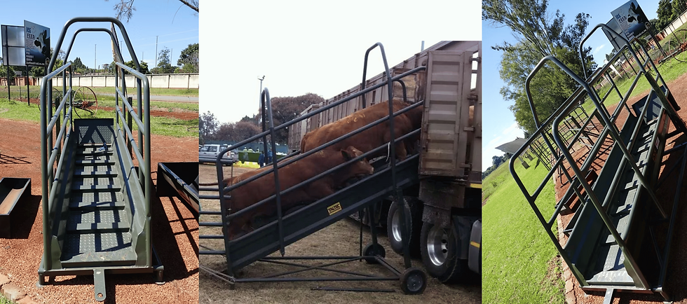 Cattle Loading Ramp TLR2