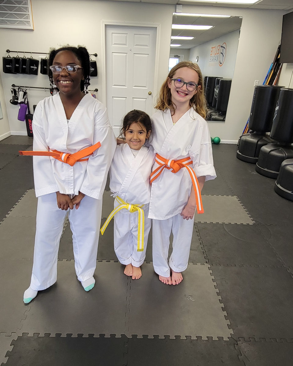Elite Karate, Fitness, and Wellness