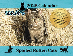 FrontCover_logoUpdate (1) (1).jpg