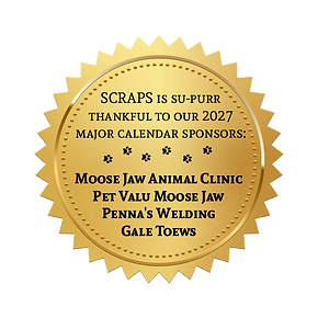 2027 cover badge.png