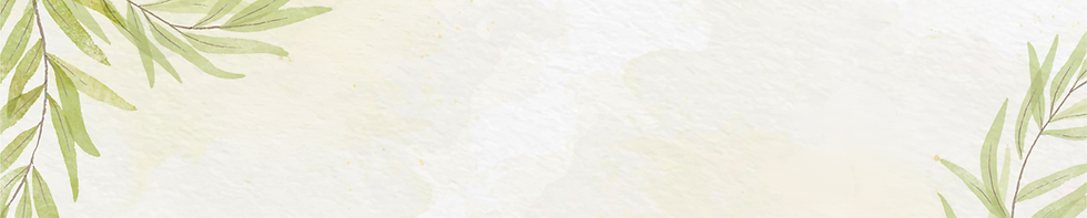 site header (2).png