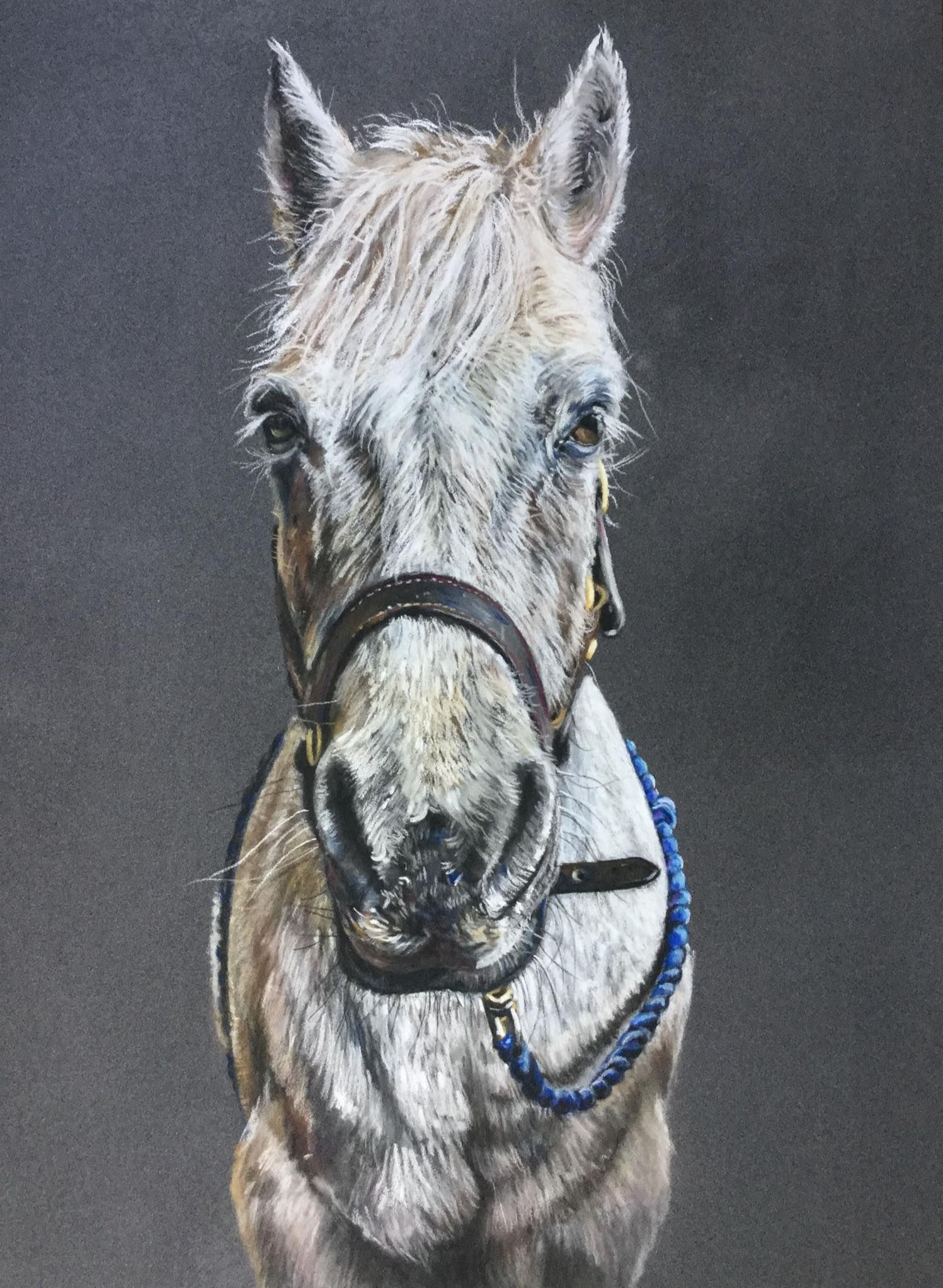 Horse Commission white horse