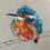 Thumbnail: Fluffy Kingfisher
