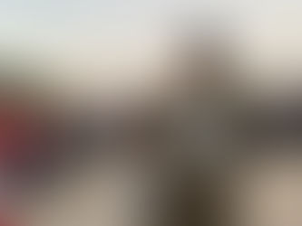 Comments on the Suspension of Voluntary Military Reserve Service