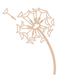 Einfach LeichterLeben Aufräumhilfe und Ordnungscoaching