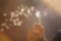 dandelion-698673_1280.jpg