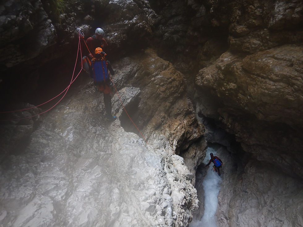 Canyoning Profis