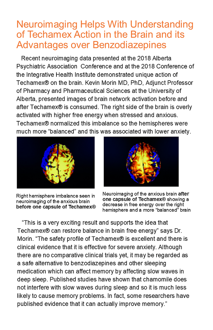 Techamex brochure 3c.png