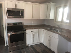 226 kitch_remodel.jpg