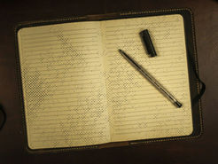 THE DEVIL TAKES NOTES