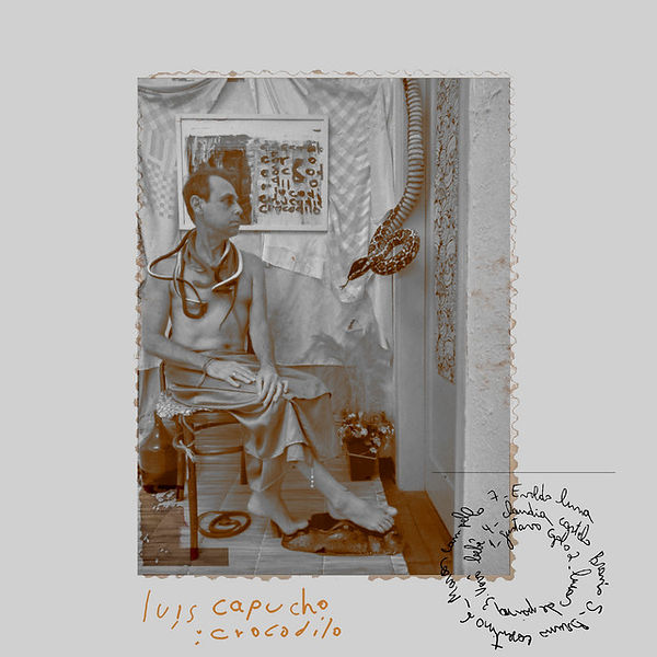 crocodilo luis capucho.jpeg