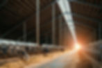 MB Nutritional Sciences Home Page Header Image