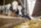 AdobeStock_133778371.jpeg
