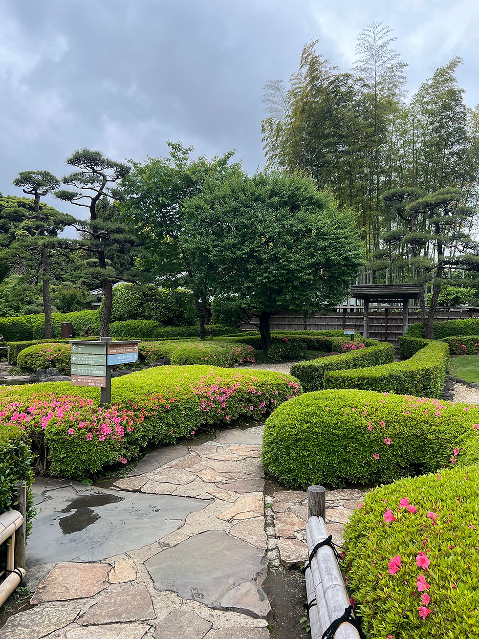 Hidden Gems and Lowkey Spots to Visit in Tokyo