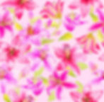 535 Watercolour Lillies