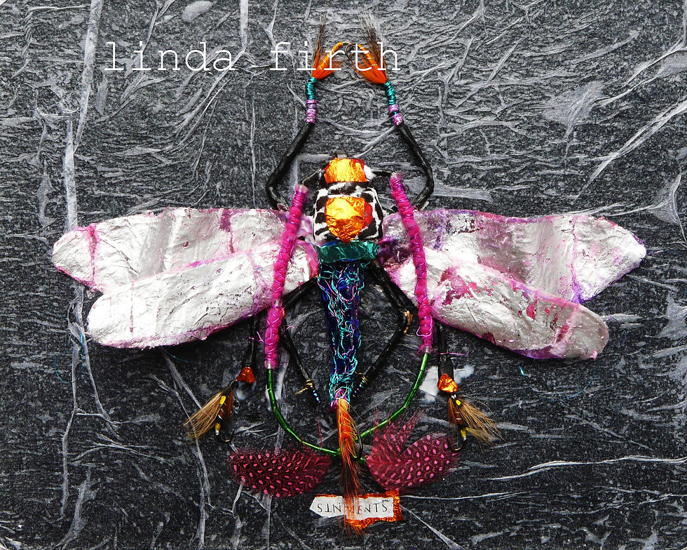 insect